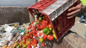 México desperdicia alimentos clave cifras que alarman