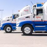 Sigma impulsa utilidades y acelera inversiones globales en 2026