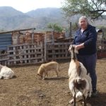 BCS impulsa la modernización del sector ganadero