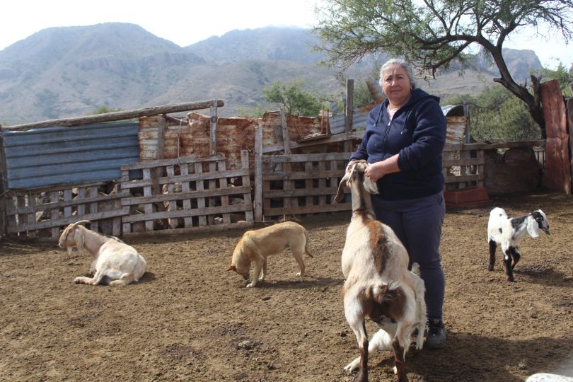 BCS impulsa la modernización del sector ganadero