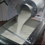 Centro lechero busca reactivar ganadería en Quintana Roo