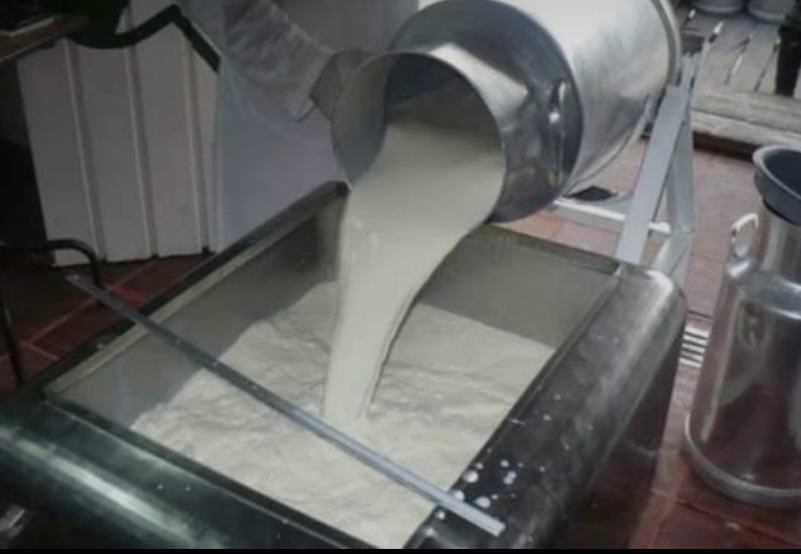 Centro lechero busca reactivar ganadería en Quintana Roo