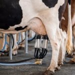 Importaciones presionan al sector lechero mexicano