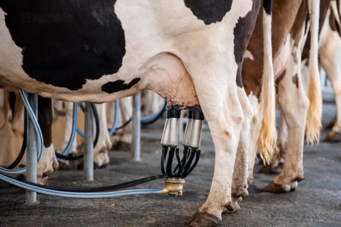 Importaciones presionan al sector lechero mexicano