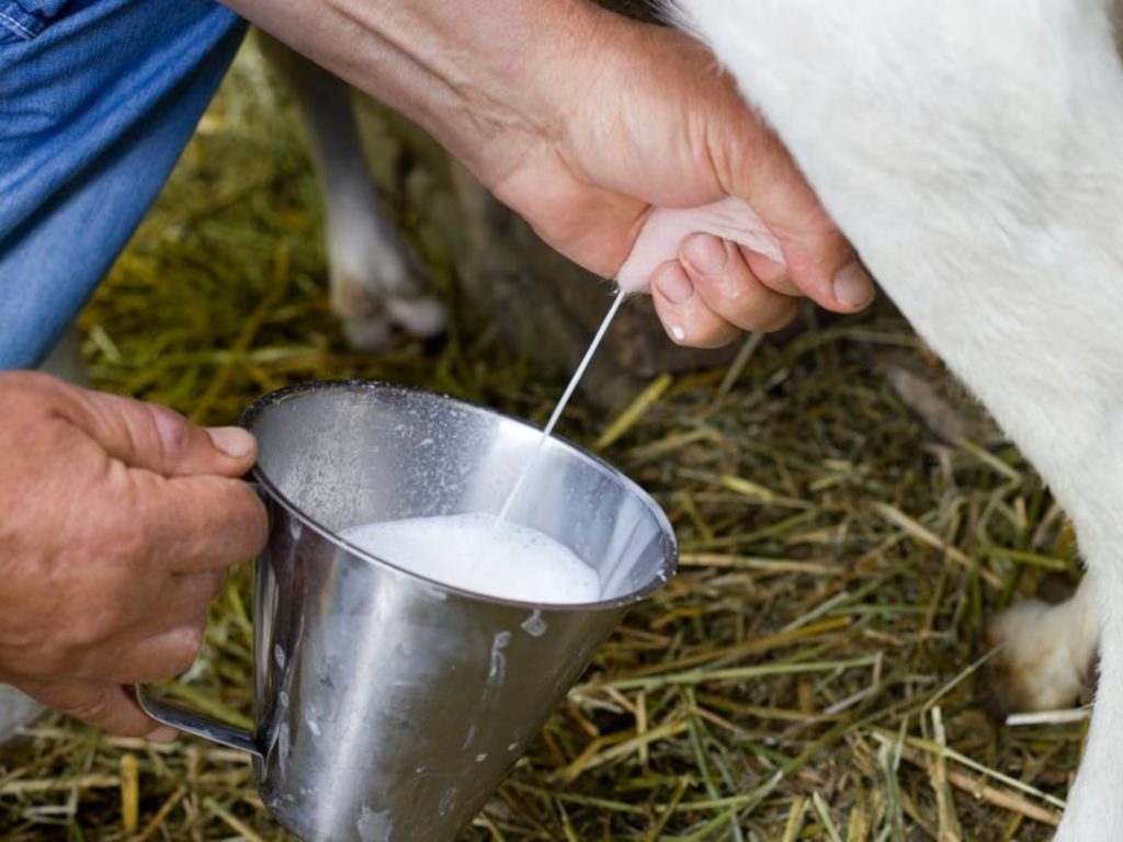 La “leche bronca” resiste en mercados periféricos