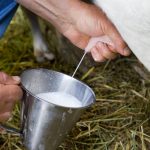 La “leche bronca” resiste en mercados periféricos