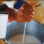 Leche bronca en México mito nutritivo o riesgo real