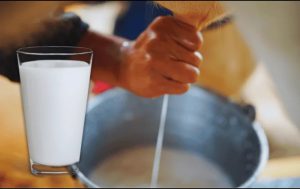 Leche bronca en México mito nutritivo o riesgo real