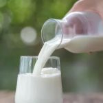 Leche bronca expertos alertan sobre sus riesgos