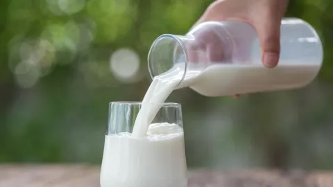 Leche bronca expertos alertan sobre sus riesgos