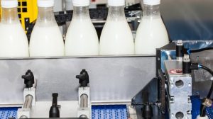 México ya es potencia lechera top 10 global