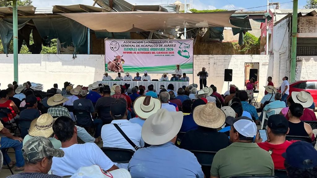 Miedo al gusano barrenador frena ventas de carne y lácteos