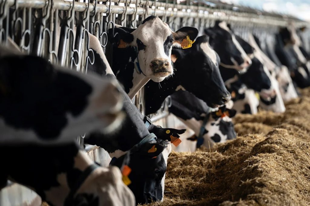 Productores de Aguascalientes se preparan para un año difícil