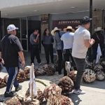 Productores tiran alimentos en protesta