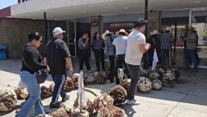 Productores tiran alimentos en protesta