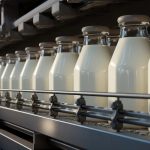 Radiografía del sector lácteo mexicano 2026