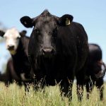 Calor extremo amenaza la producción de alimentos