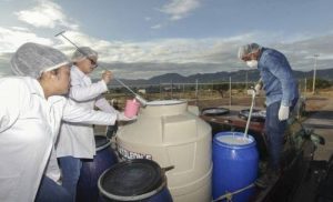 Centros de acopio no frenarán en Semana Santa
