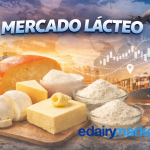 mercado