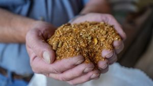 Convocan apoyo clave para productores de leche