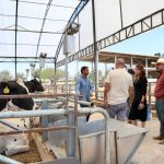 Formación técnica impulsa la lechería en Jalisco