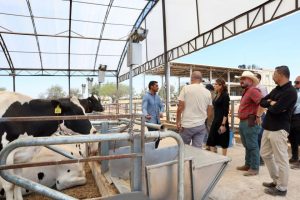 Formación técnica impulsa la lechería en Jalisco