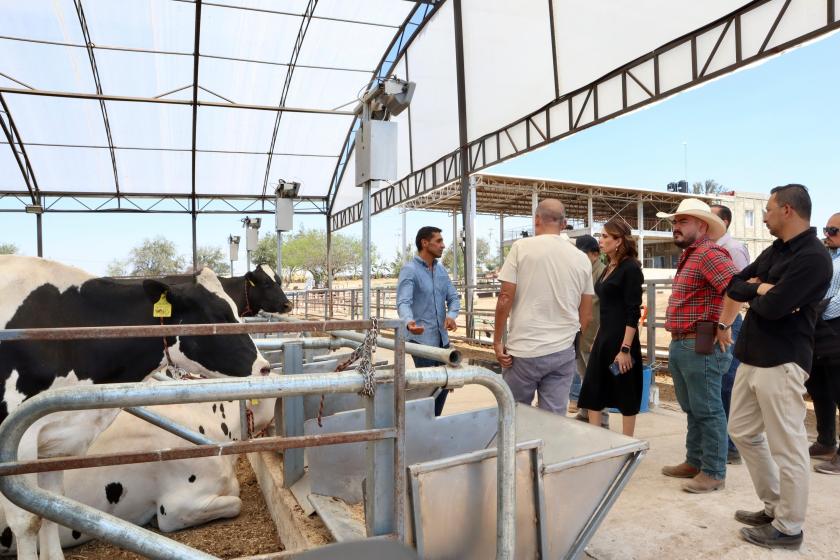 Formación técnica impulsa la lechería en Jalisco