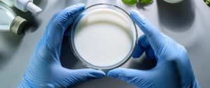 Leche del futuro biotecnología y valor funcional