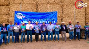 Refuerzan al sector ganadero con alimento estratégico