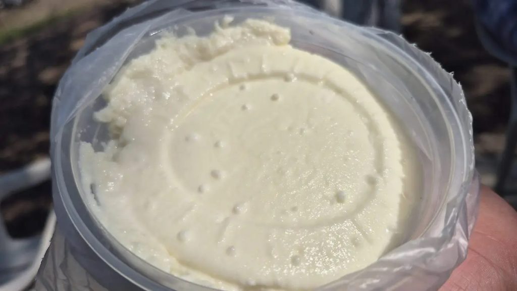 Turismo rural granja 4R gana protagonismo