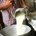 Alertan por riesgos de la leche no pasteurizada