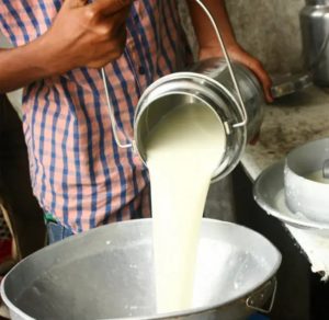Alertan por riesgos de la leche no pasteurizada