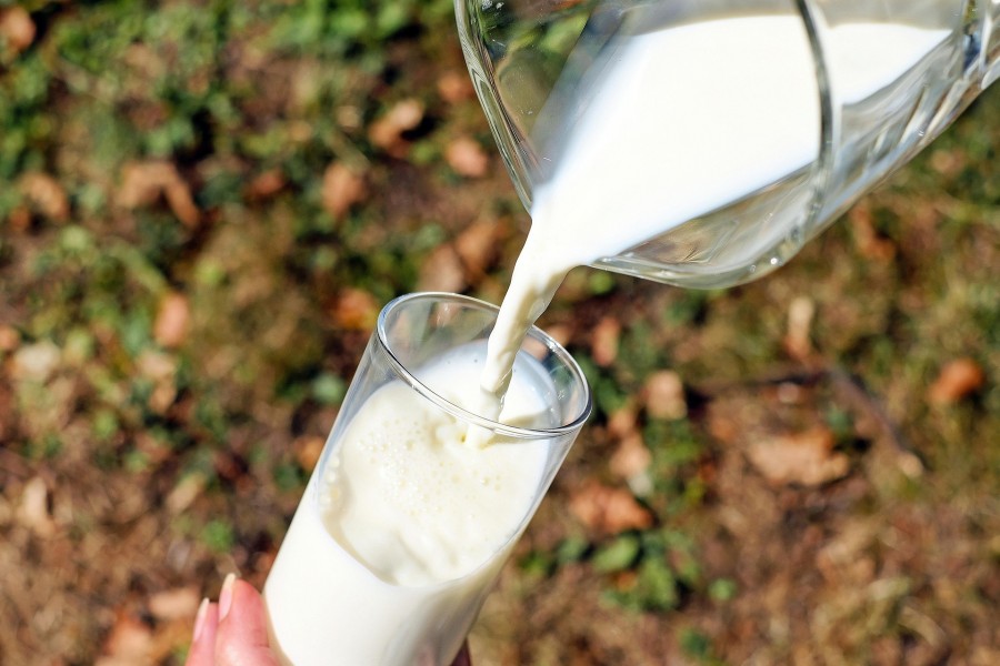 Canilec apunta a más leche y menos importaciones