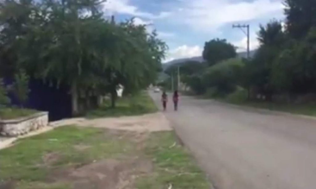 Frena centro lechero y crece incertidumbre en Morelos