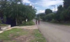 Frena centro lechero y crece incertidumbre en Morelos