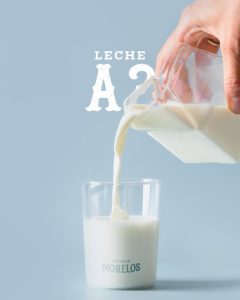 Granja Morelos crece con lácteos kosher en México