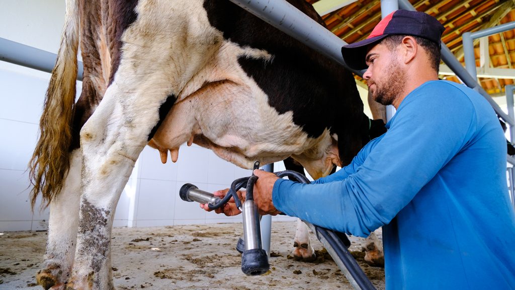 Hallan clave bacteriana que preocupa a la lechería