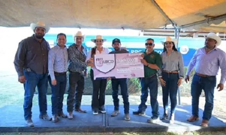 Impulsan producción lechera de traspatio en Durango