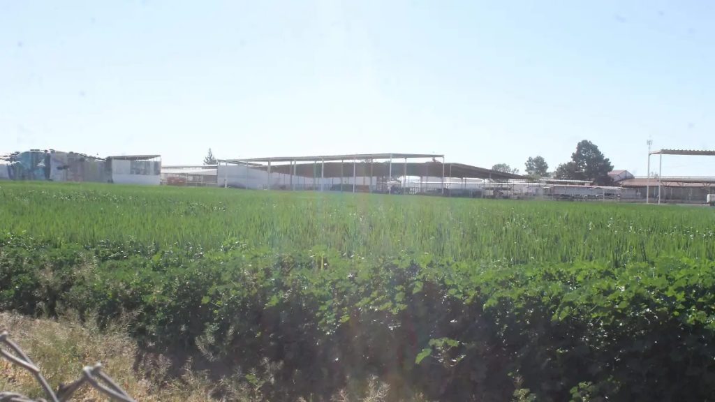 Impulso rural $250 mdp dinamizan el campo