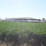 Impulso rural $250 mdp dinamizan el campo