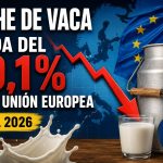 La leche europea sufre su mayor caída en años