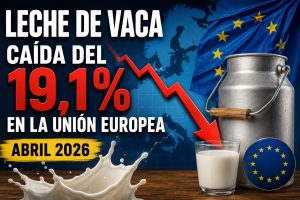 La leche europea sufre su mayor caída en años