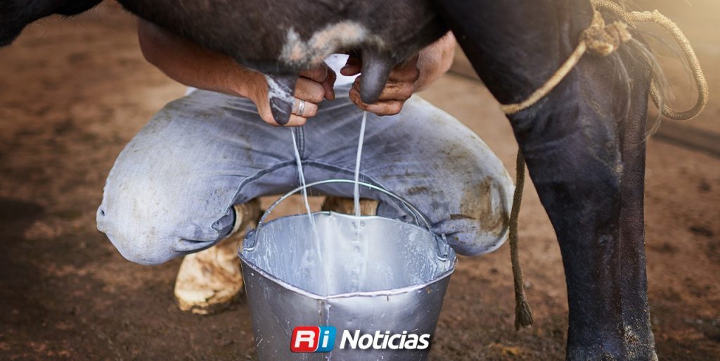 Mazatlán impulsa la producción lechera con maquinaria