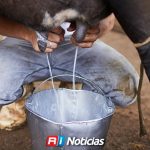 Mazatlán impulsa la producción lechera con maquinaria