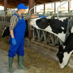 México apunta a producir más leche hacia 2030