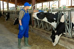 México apunta a producir más leche hacia 2030