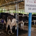 Tamaulipas acelera su apuesta por la leche