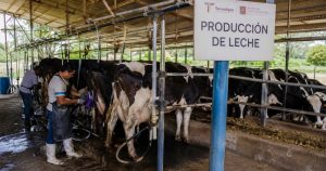 Tamaulipas acelera su apuesta por la leche