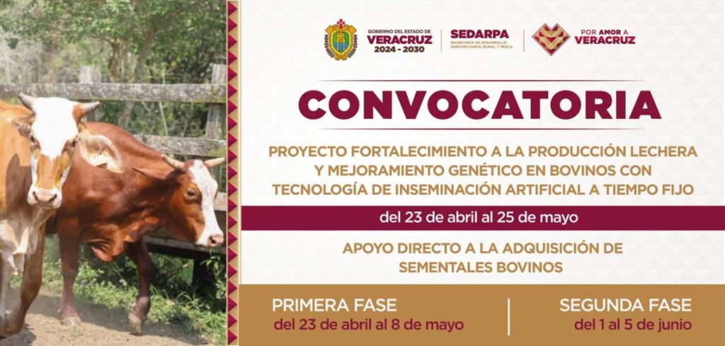 Veracruz apuesta por genética para impulsar la leche