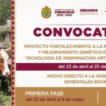 Veracruz apuesta por genética para impulsar la leche